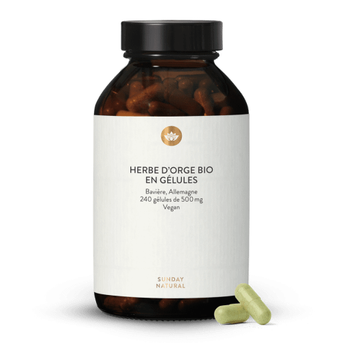 Herbe d'orge bio en glules