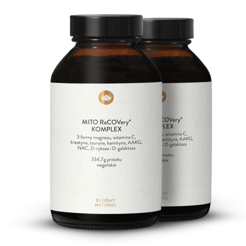 Mito Recovery Komplex