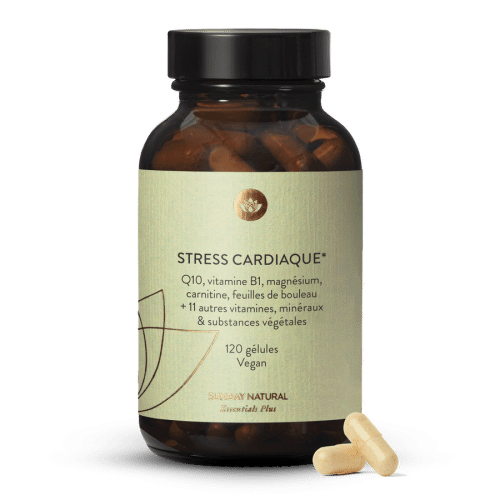 Stress Cardio