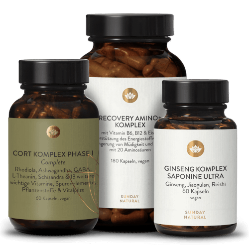 Cort Phase 1 Set