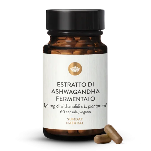Ashwagandha estratto fermentato