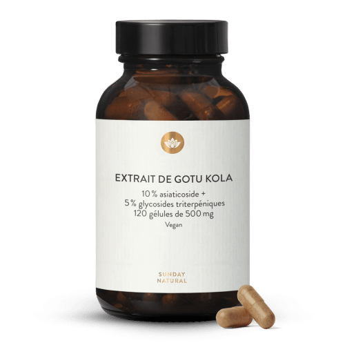 Extrait de Gotu kola