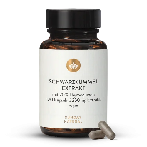 Schwarzkmmel Extrakt