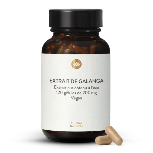 Extrait de galanga