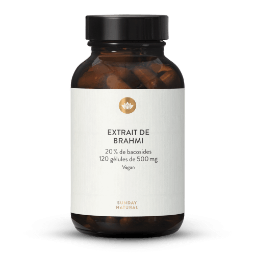 Bacopa 500 mg - glules