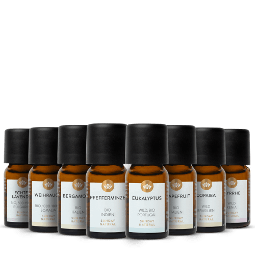 Breathwork Enriched Bundle
