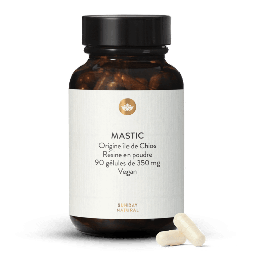 Mastic - glules
