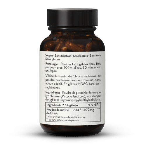Mastic - glules