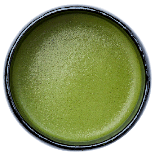Matcha Tee Okinami Bio