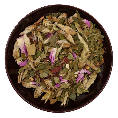 Ginkgo Youth Phyto Activate