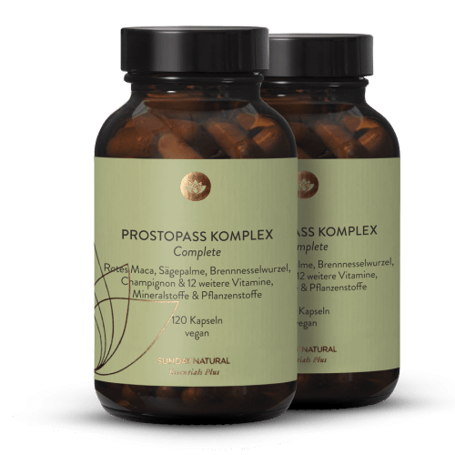 Prostopass Complex