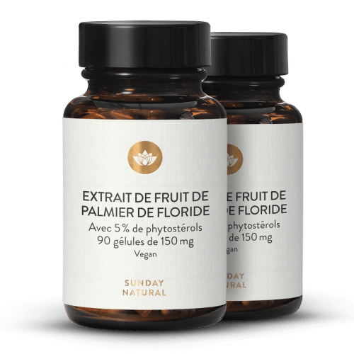 Extrait de fruit de palmier de Floride