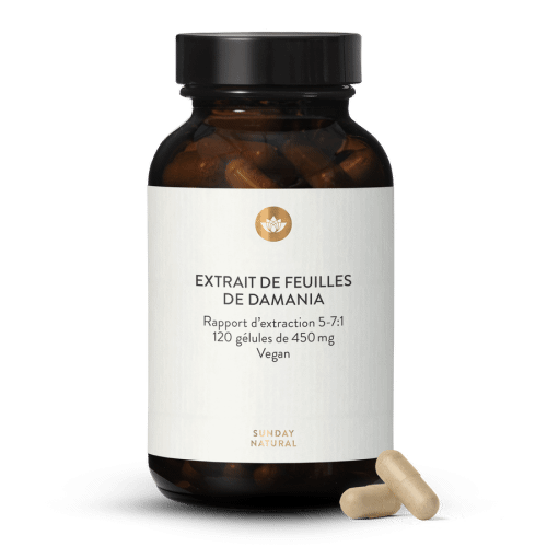 Extrait de feuilles de damiana