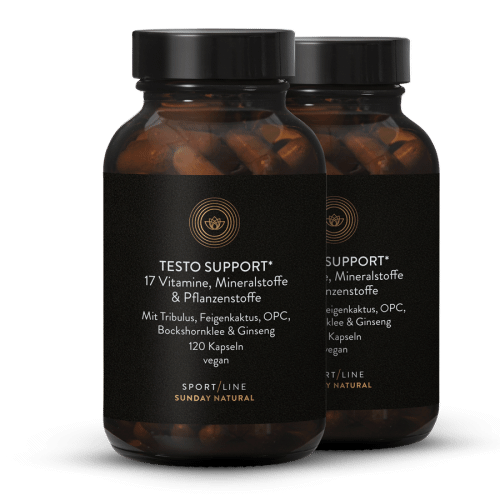 Testo Support Komplex