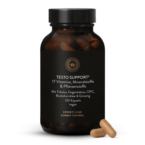 Testo Support Komplex