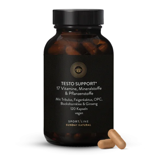 Testo Support Komplex