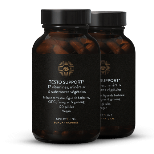 Testo Support