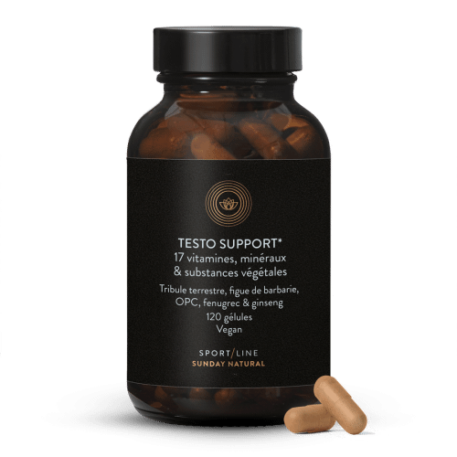 Testo Support