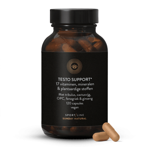 Testo Support Complex