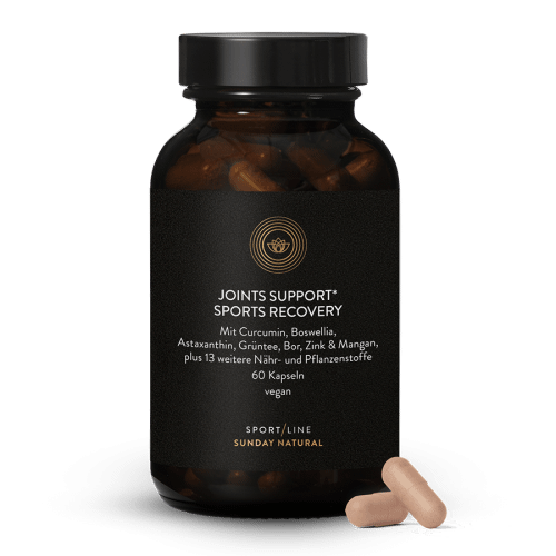 Joints Support Sports Recovery