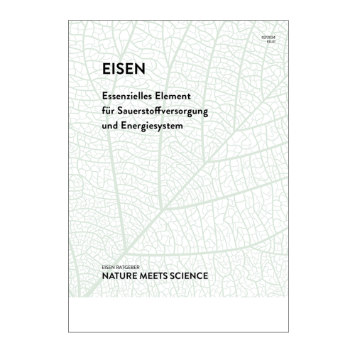 Eisen