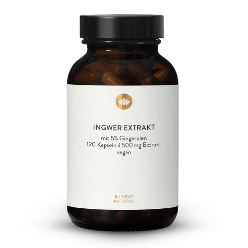 Ginger Extract