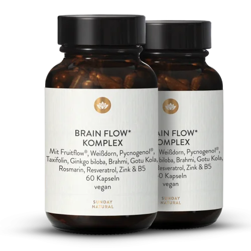 Brain Flow Komplex