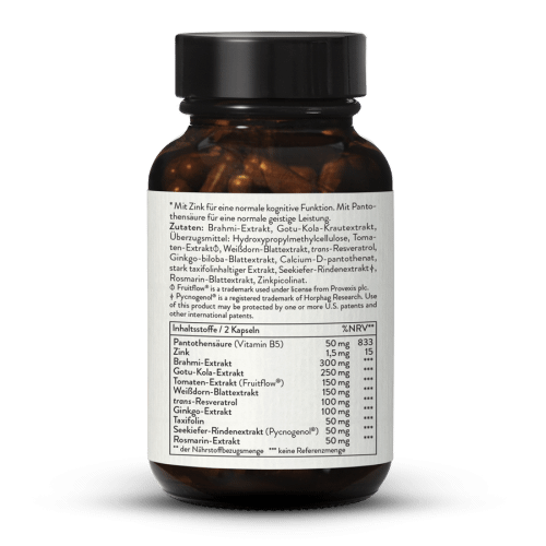 Brain Flow
