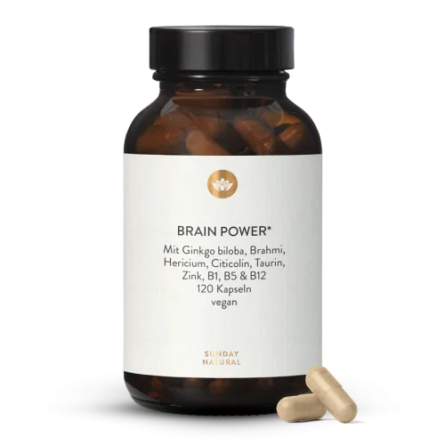 Brain Power Komplex