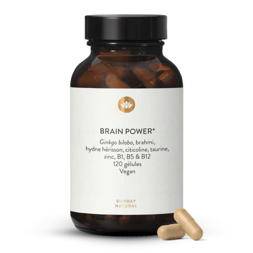 Brain Power