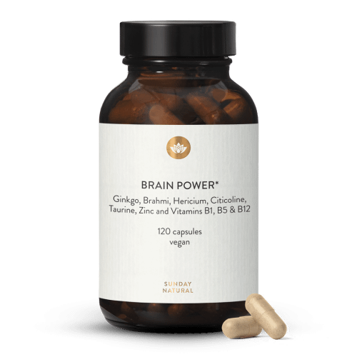 Brain Power Kompleks