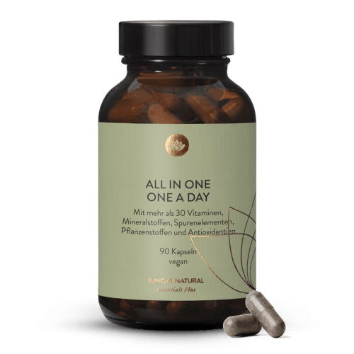 All In One Kapseln One A Day XL