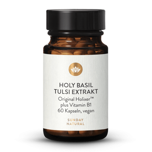 Holy Basil Tulsi Extract