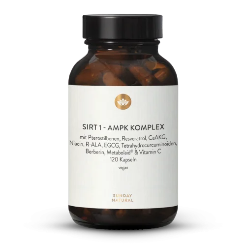 SIRT1 - AMPK Complex