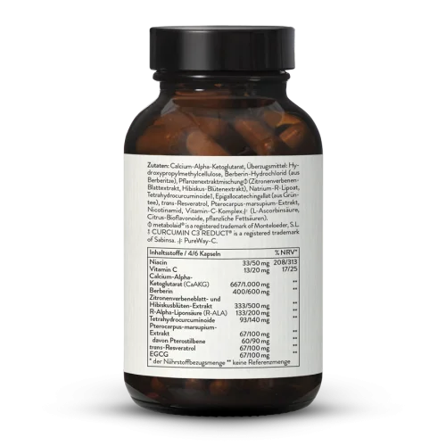 SIRT 1 - AMPK Komplex