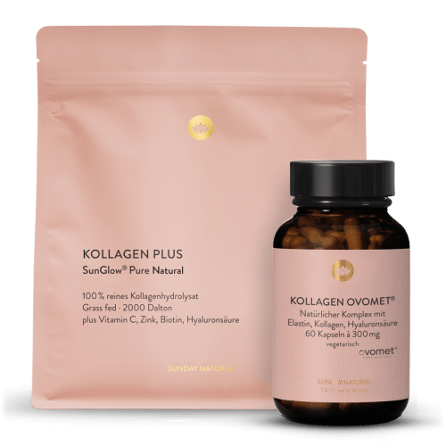 Kollagen-set aus Typ I, III, V & X