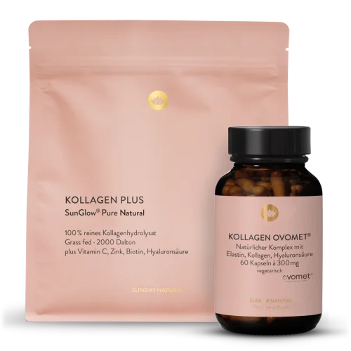 Kollagen-set aus Typ I, III, V & X