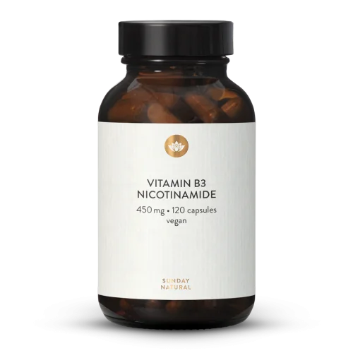 Vitamin B3 Niacinamid 450 mg