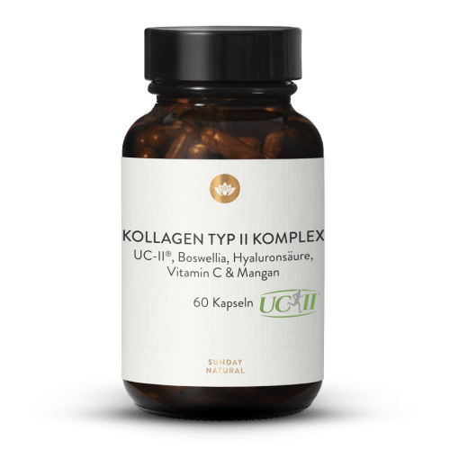 Kollagen Typ II Komplex
