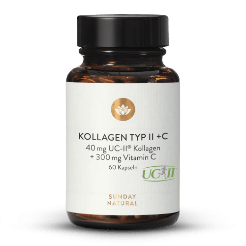 Kollagen Typ II + C