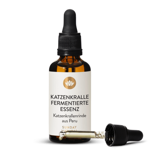 Katzenkralle fermentiert