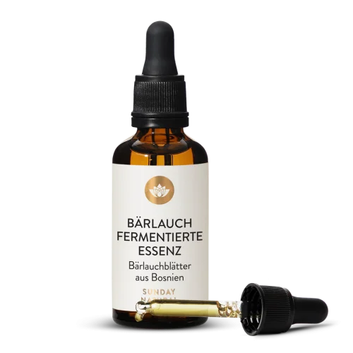 Brlauch fermentiert