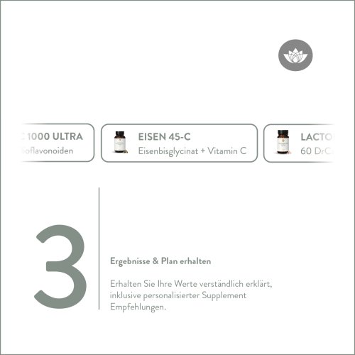 Starter Paket