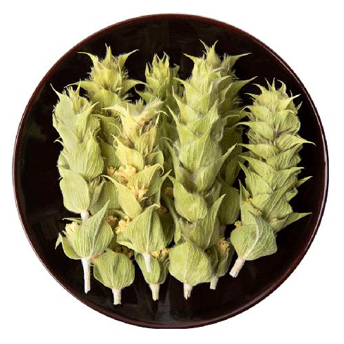 Olymp Mountain Tea Bio