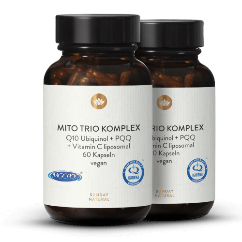 Mito Trio Complex