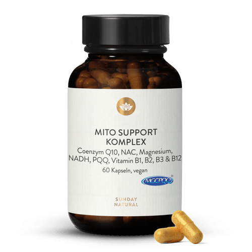 Complexe Mito Support