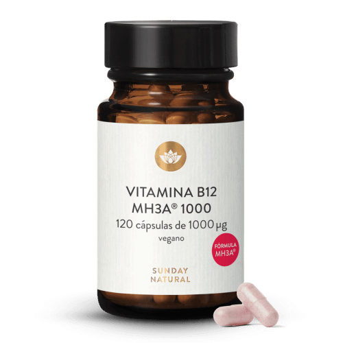 Vitamina B12 frmula MH3A 1000g