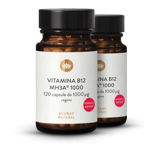 Vitamina B12 formula MH3A 1000 g