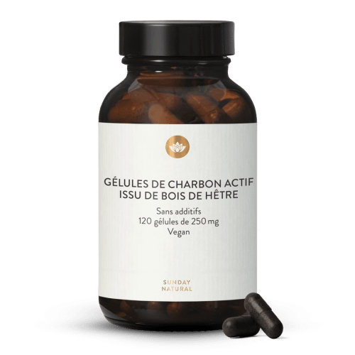 Charbon actif (Bois de htre) - Glules