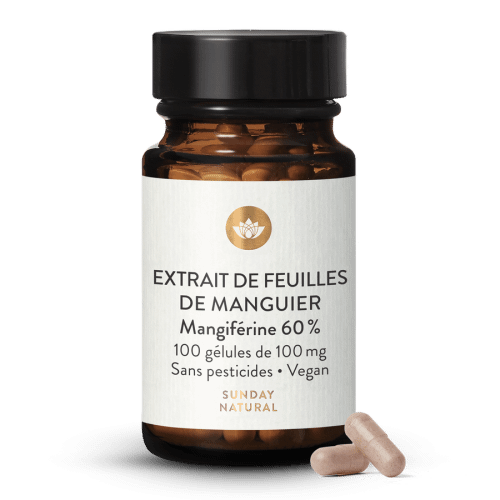 Extrait de mangue, 60 % de mangifrine, sans cafine